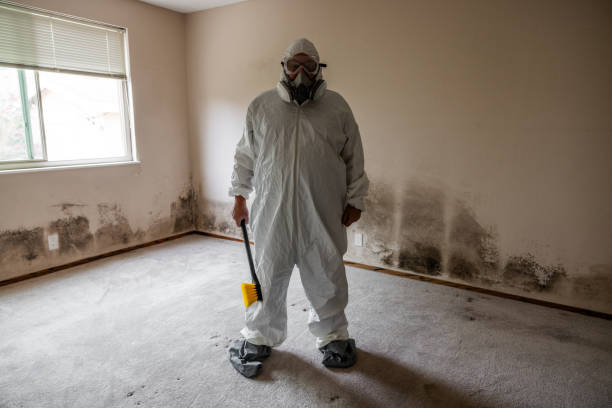 Mold Testing and Removal in Johnstown, PA